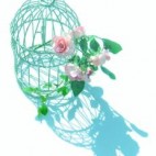 薙　アサト